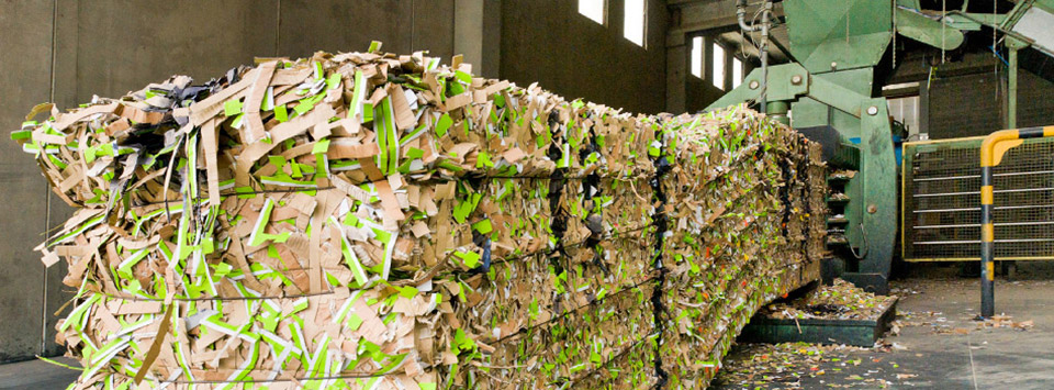 Bamberger  |  UVV-Service für Maschinen und Anlagen